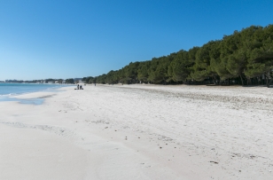 The beach of Puerto de Alcudia 7 km. Long fine white sandy beach is the largest of the Balearic Islands