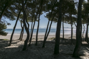 this beach without any surrounding high-rise buildings and great presence of pine and palm trees has a unique natural beauty